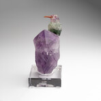 Genuine Polished Hand Carved Fluorite Hummingbird on a Amethyst Point (4.5"h)