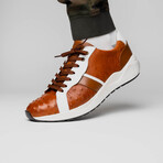 Lyon II // Ostrich Quill Leather Sneakers // Brandy + White (US: 8.5)