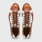 Lyon II // Ostrich Quill Leather Sneakers // Brandy + White (US: 8.5)