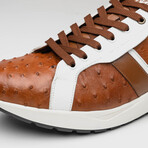 Lyon II // Ostrich Quill Leather Sneakers // Brandy + White (US: 8.5)