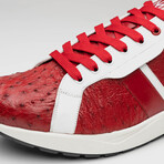 Lyon II // Ostrich Quill Leather Sneakers // Red + White (US: 9.5)