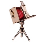 Jollylook Display & Storage Bundle // Natural Wood