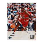 Chicago Bulls Dennis Rodman & Elton Brand Signed Photos