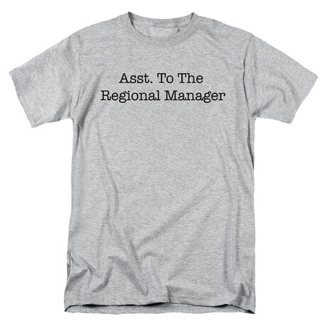 Asst. to the Regional Manager // Gray (S)