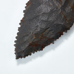 Excellent Pre-Inca Arrowhead // 1500 BC - 400 AD
