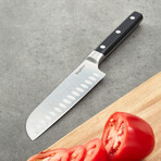 BergHOFF DiNA Gene Stainless Steel Santoku Knife, 5.5"