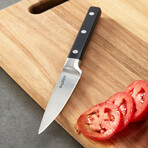 BergHOFF DiNA Gene 4pc Stainless Steel Knife Set