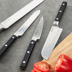 BergHOFF DiNA Gene 4pc Stainless Steel Knife Set