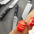 BergHOFF DiNA Gene 4pc Stainless Steel Knife Set