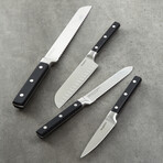 BergHOFF DiNA Gene 4pc Stainless Steel Knife Set