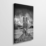 Stumped by Thomas Barbey (26"H x 18"W x 1.5"D)