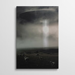 Abduction by Rob Hakemo (26"H x 18"W x 1.5"D)