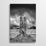 Stumped by Thomas Barbey (26"H x 18"W x 1.5"D)