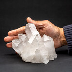 Genuine Clear Quartz Crystal Cluster from Brazil // 2.5 lbs
