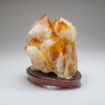 Genuine Citrine Quartz Crystal Cluster on Custom Wooden Stand // 18.8 lbs