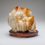 Genuine Citrine Quartz Crystal Cluster on Custom Wooden Stand // 18.8 lbs