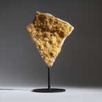 Citrine Quartz Crystal Cluster on Metal Stand // 15", 5.9 lbs