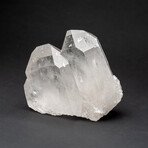 Genuine Clear Quartz Crystal Cluster from Brazil // 2.9 lbs