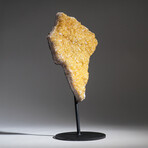 Citrine Quartz Crystal Cluster on Metal Stand // 15", 5.9 lbs