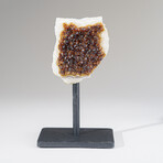 Citrine Quartz Crystal Cluster on Metal Stand // 6.5", 2.2 lbs