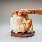 Genuine Citrine Quartz Crystal Cluster on Custom Wooden Stand // 18.8 lbs