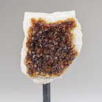 Citrine Quartz Crystal Cluster on Metal Stand // 6.5", 2.2 lbs