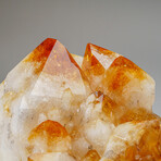 Genuine Citrine Quartz Crystal Cluster on Custom Wooden Stand // 18.8 lbs