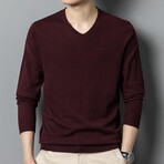 Solid V-Neck Pullover // Plum (M)