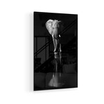 Elephant Print on Acrylic by Jie Fischer (16"H x 24"W x 0.25"D)
