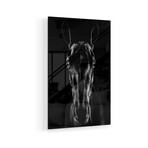 The Horse In Noir Print on Acrylic by Jackson Carvalho (16"H x 24"W x 0.25"D)