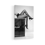Rock N Legs Print on Acrylic by David Drake (16"H x 24"W x 0.25"D)
