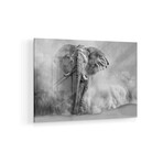 Sandstorm Black & White Print on Acrylic by Marcel Egger (24"H x 16"W x 0.25"D)