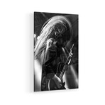 Metaldays L Print on Acrylic by Damijan Sedevcic (16"H x 24"W x 0.25"D)