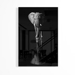 Elephant Print on Acrylic by Jie Fischer (16"H x 24"W x 0.25"D)