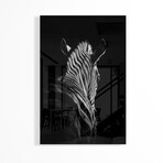 Stepping Down #6 Print on Acrylic by Christian Meermann (16"H x 24"W x 0.25"D)