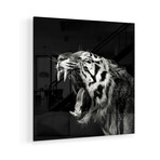 Primal Yawn IV Print on Acrylic by Christian Meermann (24"H x 24"W x 0.25"D)