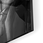 White Stallion Print on Acrylic by Ulrike Leinemann (16"H x 24"W x 0.25"D)