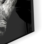 Rhino Print on Acrylic by Christian Meermann (24"H x 24"W x 0.25"D)