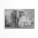 Sandstorm Black & White Print on Acrylic by Marcel Egger (24"H x 16"W x 0.25"D)