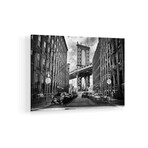In America Print on Acrylic by Lidia Vanhamme (24"H x 16"W x 0.25"D)