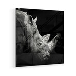 Rhino Print on Acrylic by Christian Meermann (24"H x 24"W x 0.25"D)