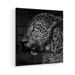 Untitled Leopard Print on Acrylic by Liwen Tao (24"H x 24"W x 0.25"D)