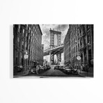 In America Print on Acrylic by Lidia Vanhamme (24"H x 16"W x 0.25"D)