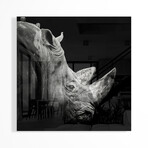 Rhino Print on Acrylic by Christian Meermann (24"H x 24"W x 0.25"D)
