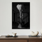 Elephant Print on Acrylic by Jie Fischer (16"H x 24"W x 0.25"D)