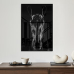 The Horse In Noir Print on Acrylic by Jackson Carvalho (16"H x 24"W x 0.25"D)