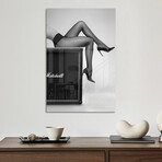 Rock N Legs Print on Acrylic by David Drake (16"H x 24"W x 0.25"D)