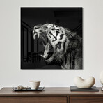 Primal Yawn IV Print on Acrylic by Christian Meermann (24"H x 24"W x 0.25"D)