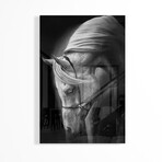 White Stallion Print on Acrylic by Ulrike Leinemann (16"H x 24"W x 0.25"D)