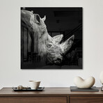 Rhino Print on Acrylic by Christian Meermann (24"H x 24"W x 0.25"D)